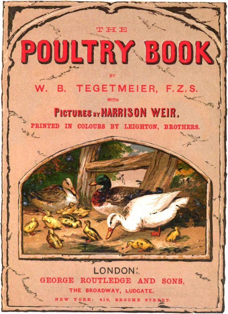 The Poultry Book 1867